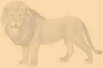 Lejon
